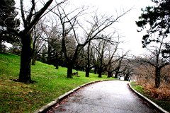 photo 0001